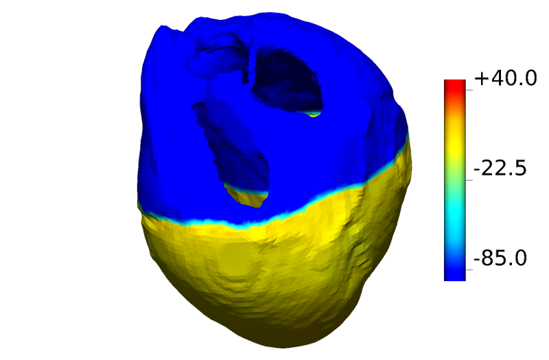 cmgui result