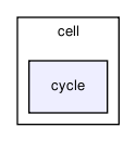 crypt/src/cell/cycle/