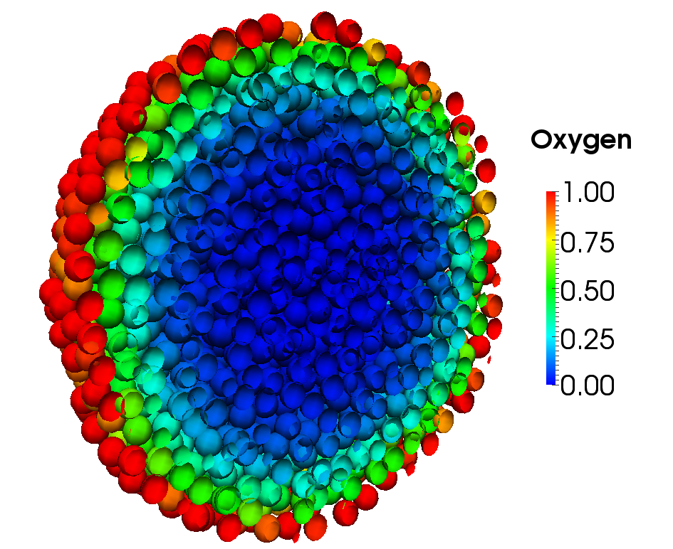 Spheroid experiments